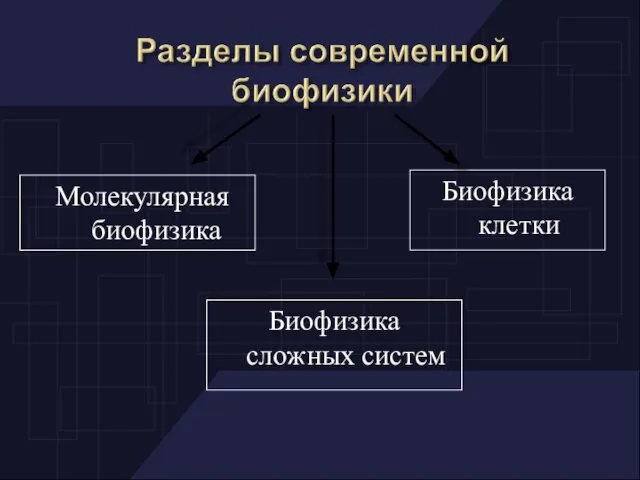 Молекулярная биофизика Биофизика сложных систем Биофизика клетки