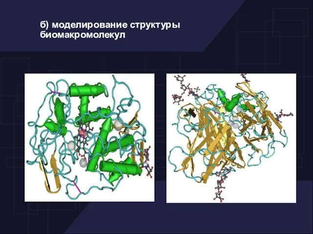 б) моделирование структуры биомакромолекул