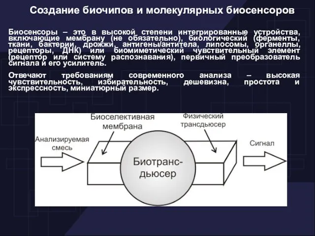 Создание биочипов и молекулярных биосенсоров Биосенсоры – это в высокой степени