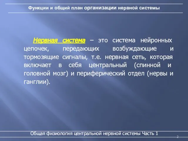 Функции и общий план организации нервной системы Нервная система – это