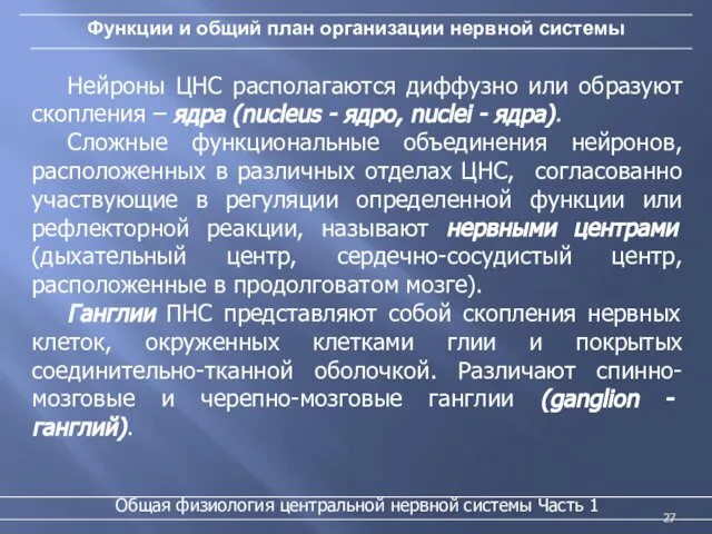 Функции и общий план организации нервной системы Общая физиология центральной нервной