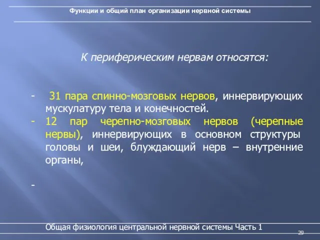 Функции и общий план организации нервной системы Общая физиология центральной нервной