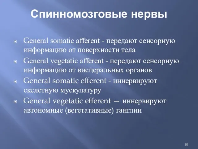 Спинномозговые нервы General somatic afferent - передают сенсорную информацию от поверхности