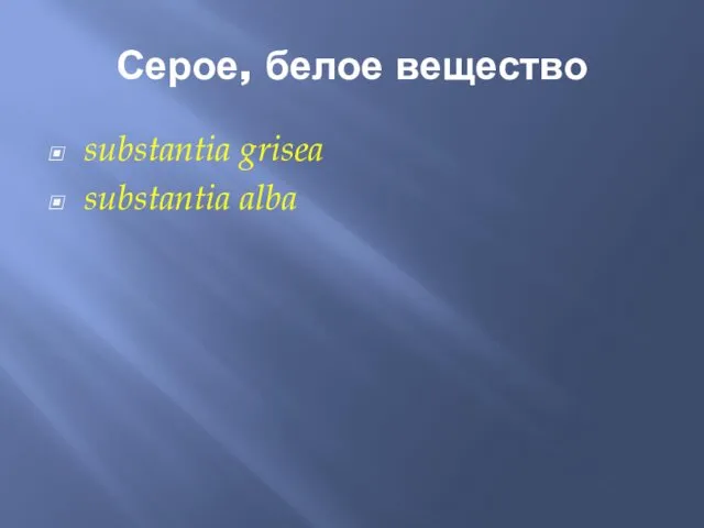 Серое, белое вещество substantia grisea substantia alba