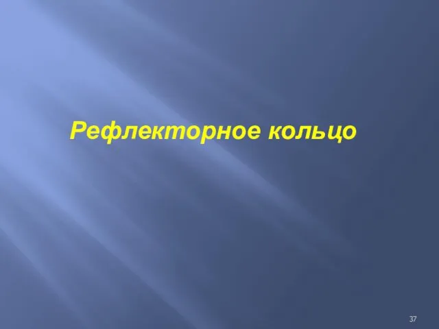 Рефлекторное кольцо