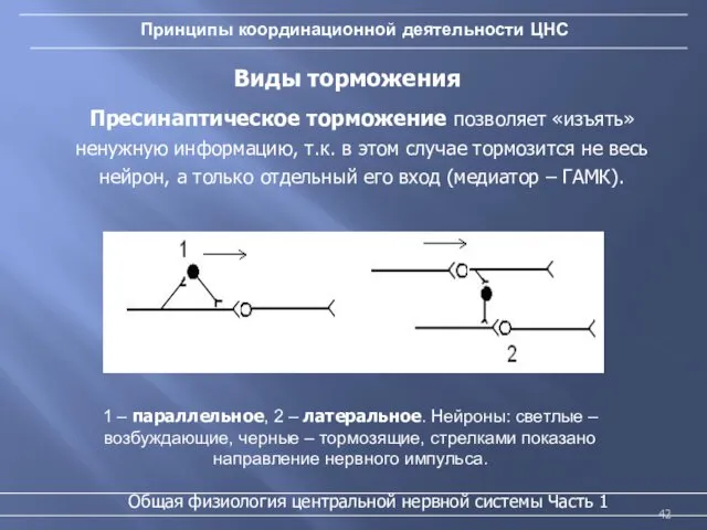 Принципы координационной деятельности ЦНС Пресинаптическое торможение позволяет «изъять» ненужную информацию, т.к.