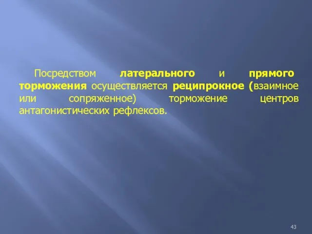 Посредством латерального и прямого торможения осуществляется реципрокное (взаимное или сопряженное) торможение центров антагонистических рефлексов.