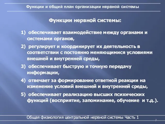 Функции и общий план организации нервной системы 1) обеспечивает взаимодействие между