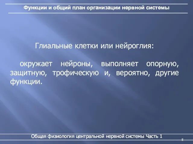 Функции и общий план организации нервной системы Общая физиология центральной нервной