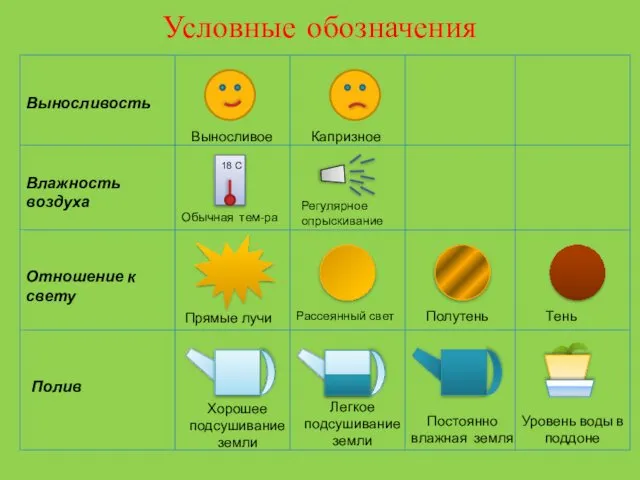 Условные обозначения Влажность воздуха Отношение к свету Выносливость Полив Выносливое Капризное