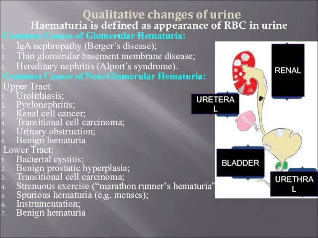 Haematuria is defined as appearance of RBC in urine Common Causes