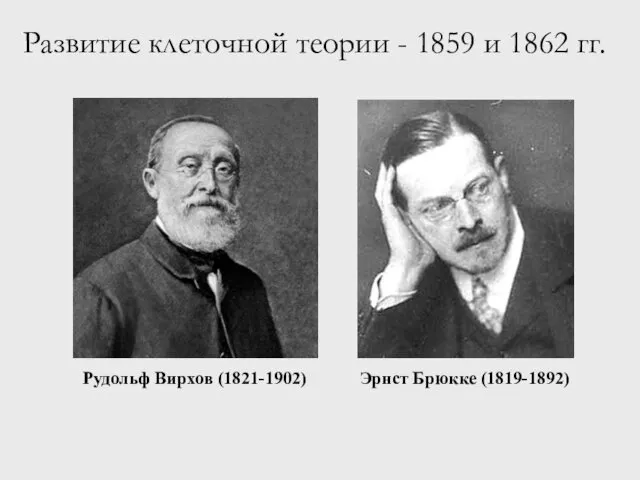 Развитие клеточной теории - 1859 и 1862 гг. Рудольф Вирхов (1821-1902) Эрнст Брюкке (1819-1892)