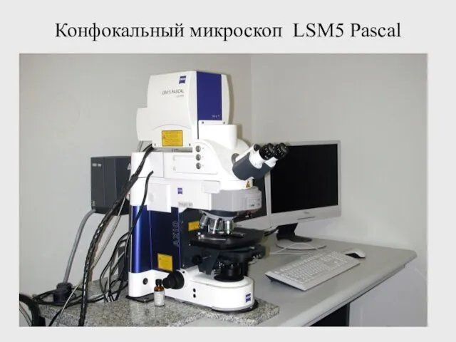 Конфокальный микроскоп LSM5 Pascal