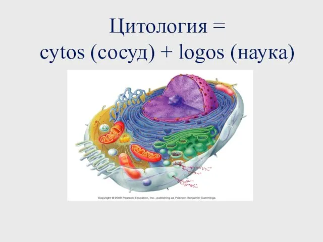 Цитология = cytos (сосуд) + logos (наука)