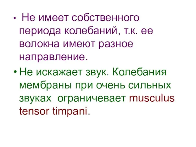 Не имеет собственного периода колебаний, т.к. ее волокна имеют разное направление.