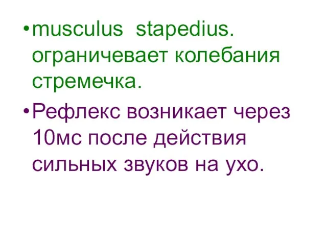 musculus stapedius. ограничевает колебания стремечка. Рефлекс возникает через 10мс после действия сильных звуков на ухо.