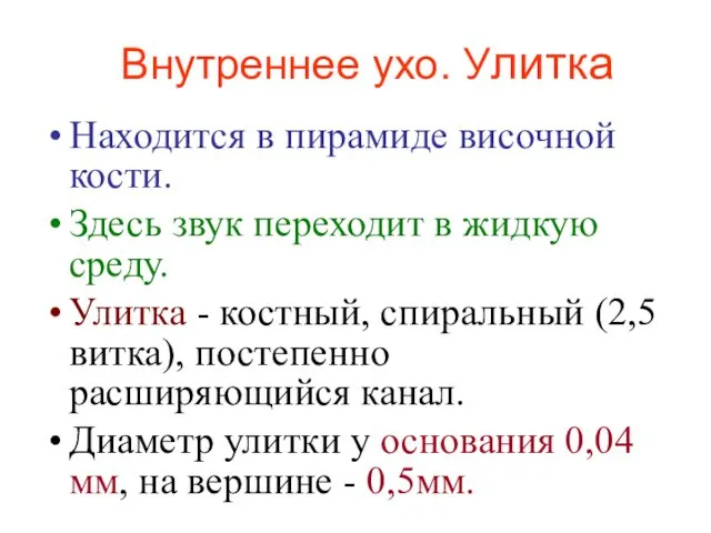 Внутреннее ухо. Улитка Находится в пирамиде височной кости. Здесь звук переходит