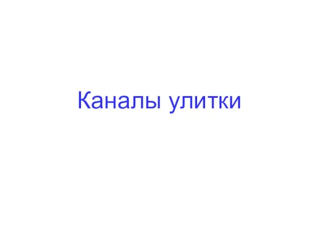 Каналы улитки