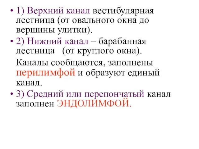 1) Верхний канал вестибулярная лестница (от овального окна до вершины улитки).