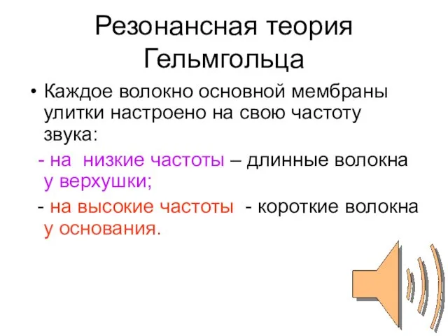 Резонансная теория Гельмгольца Каждое волокно основной мембраны улитки настроено на свою