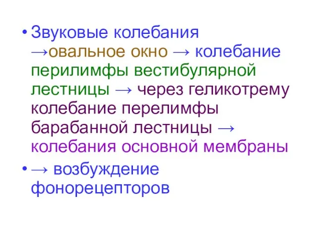 Звуковые колебания →овальное окно → колебание перилимфы вестибулярной лестницы → через