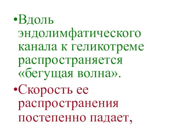 Вдоль эндолимфатического канала к геликотреме распространяется «бегущая волна». Скорость ее распространения постепенно падает,