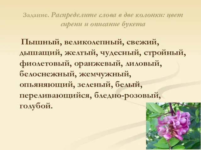 Задание. Распределите слова в две колонки: цвет сирени и описание букета