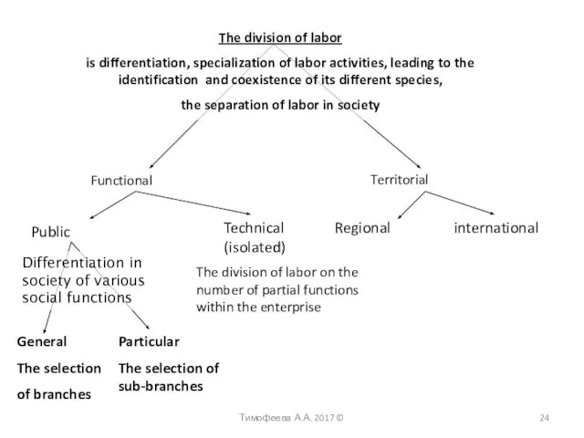 Functional Territorial Public Technical (isolated) Regional international General The selection of