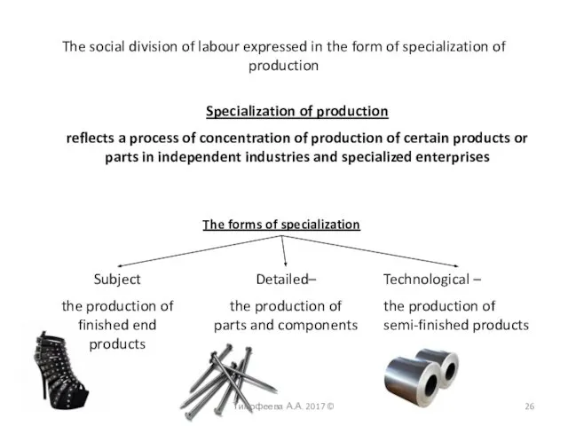 The social division of labour expressed in the form of specialization