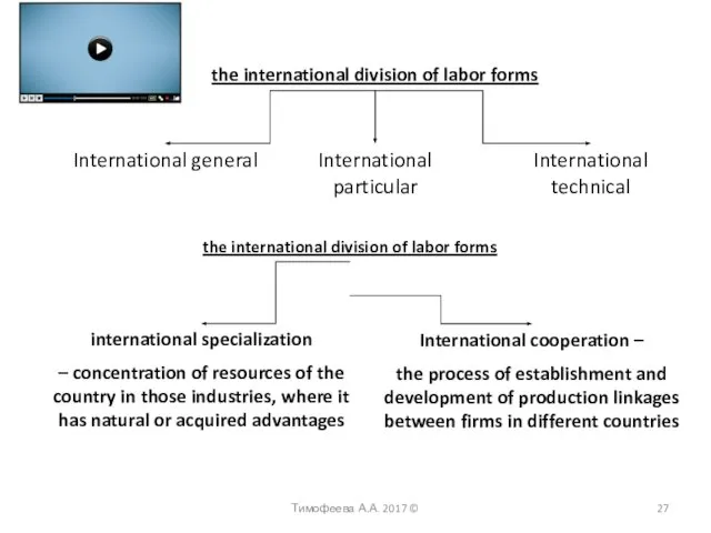 the international division of labor forms International general International particular International