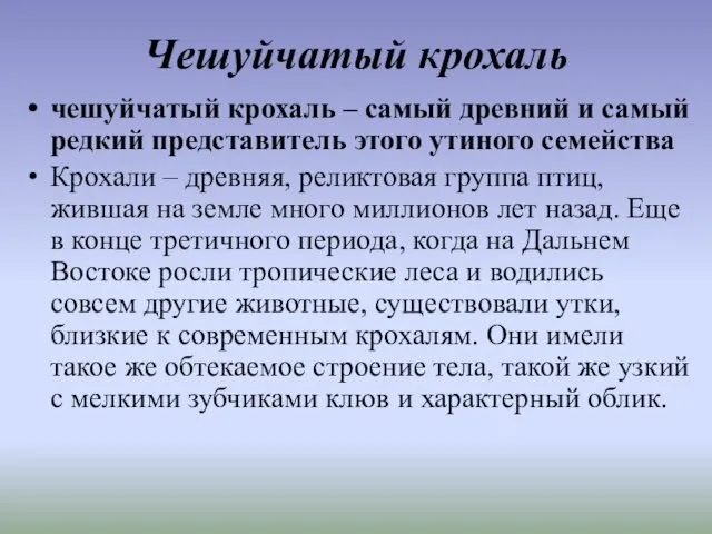 Чешуйчатый крохаль чешуйчатый крохаль – самый древний и самый редкий представитель