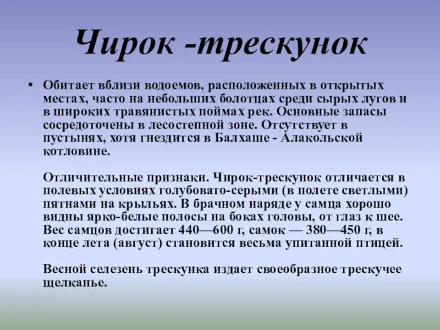 Чирок -трескунок Обитает вблизи водоемов, расположенных в открытых местах, часто на