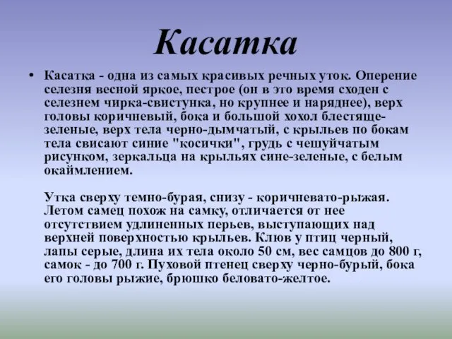 Касатка Касатка - одна из самых красивых речных уток. Оперение селезня