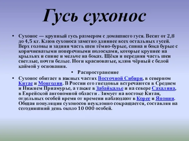 Гусь сухонос Сухонос — крупный гусь размером с домашнего гуся. Весит