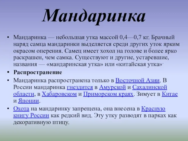 Мандаринка Мандаринка — небольшая утка массой 0,4—0,7 кг. Брачный наряд самца