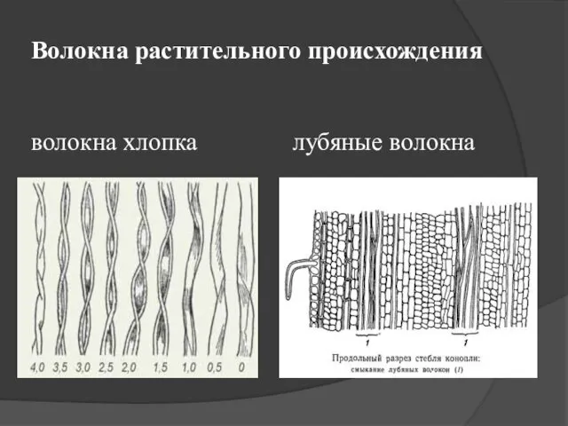 Волокна растительного происхождения волокна хлопка лубяные волокна