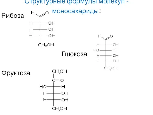 Структурные формулы молекул - моносахариды: Рибоза Глюкоза Фруктоза