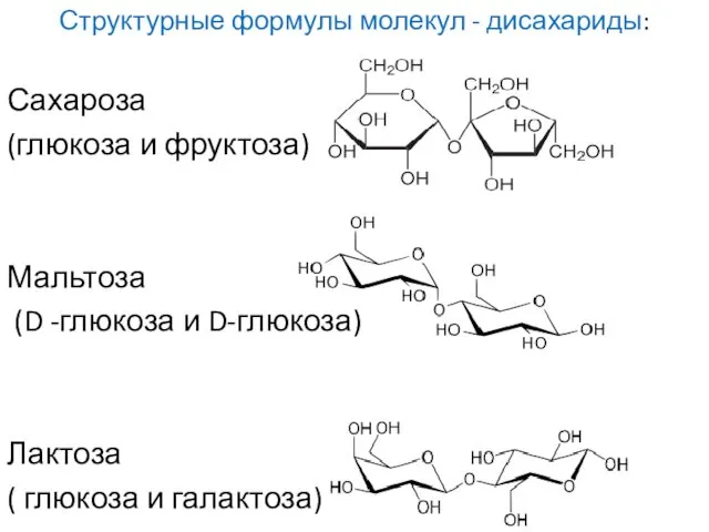 Структурные формулы молекул - дисахариды: Сахароза (глюкоза и фруктоза) Мальтоза (D