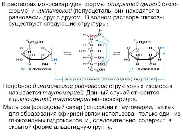 В растворах моносахаридов формы открытой цепной (оксо-форме) и циклической (полуацетальной) находятся