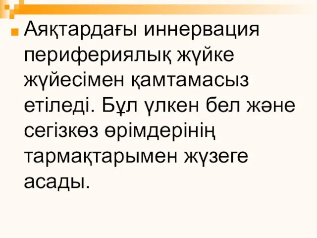 Аяқтардағы иннервация перифериялық жүйке жүйесімен қамтамасыз етіледі. Бұл үлкен бел және сегізкөз өрімдерінің тармақтарымен жүзеге асады.