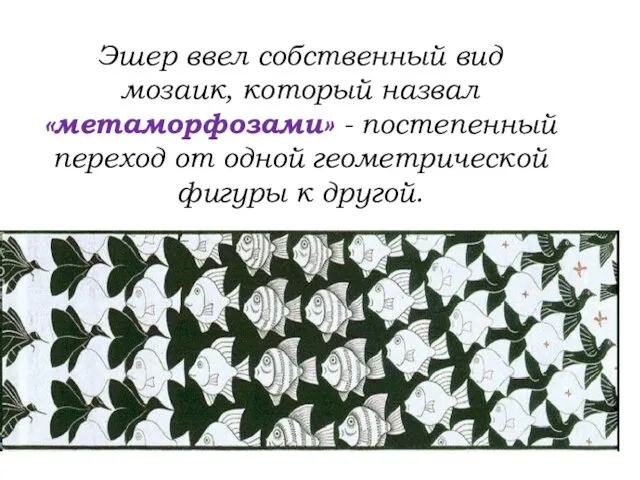 Эшер ввел собственный вид мозаик, который назвал «метаморфозами» - постепенный переход