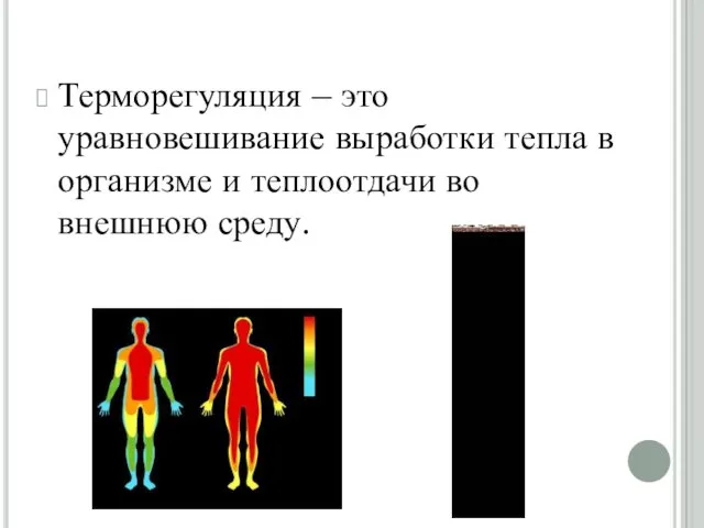 Терморегуляция – это уравновешивание выработки тепла в организме и теплоотдачи во внешнюю среду.