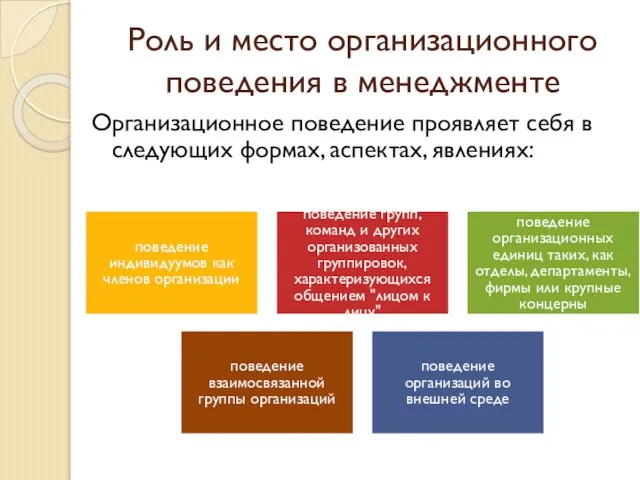 Роль и место организационного поведения в менеджменте поведение индивидуумов как членов