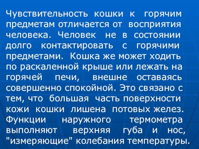 Чувствительность кошки к горячим предметам отличается от восприятия человека. Человек не