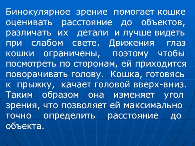 Бинокулярное зрение помогает кошке оценивать расстояние до объектов, различать их детали