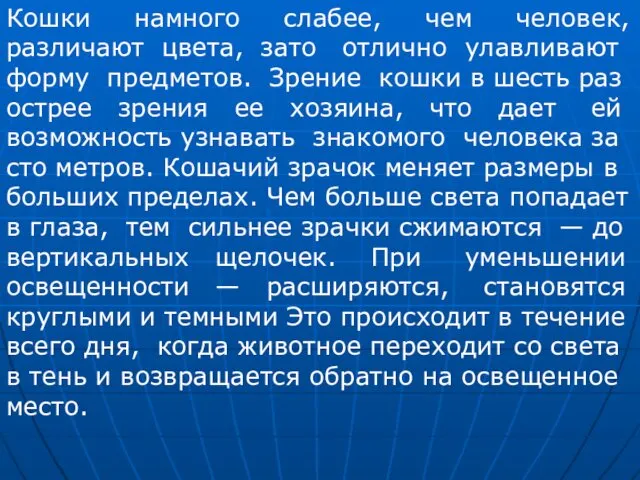 Кошки намного слабее, чем человек, различают цвета, зато отлично улавливают форму