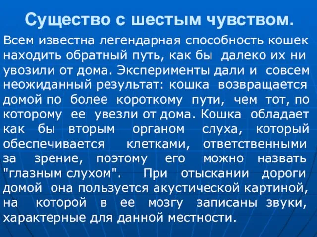 Существо с шестым чувством. Всем известна легендарная способность кошек находить обратный