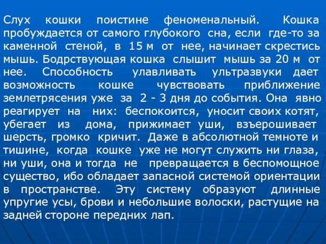 Слух кошки поистине феноменальный. Кошка пробуждается от самого глубокого сна, если