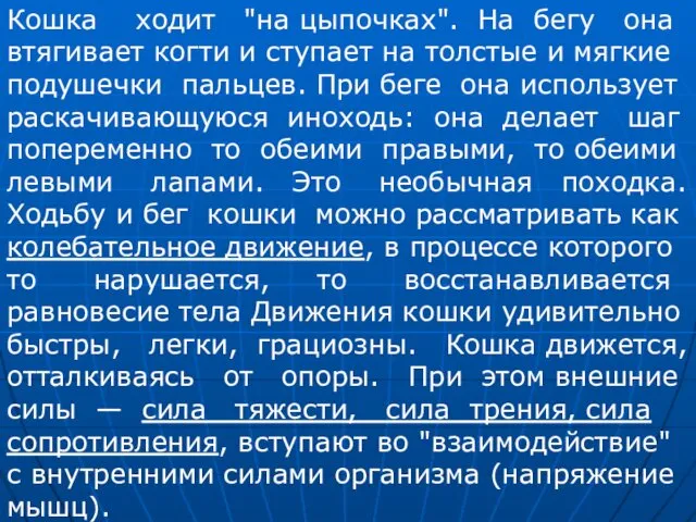 Кошка ходит "на цыпочках". На бегу она втягивает когти и ступает