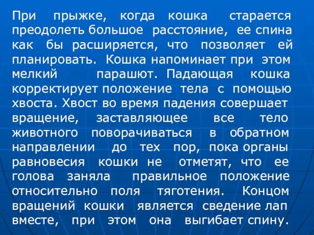 При прыжке, когда кошка старается преодолеть большое расстояние, ее спина как